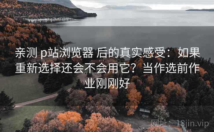 亲测 p站浏览器 后的真实感受：如果重新选择还会不会用它？当作选前作业刚刚好