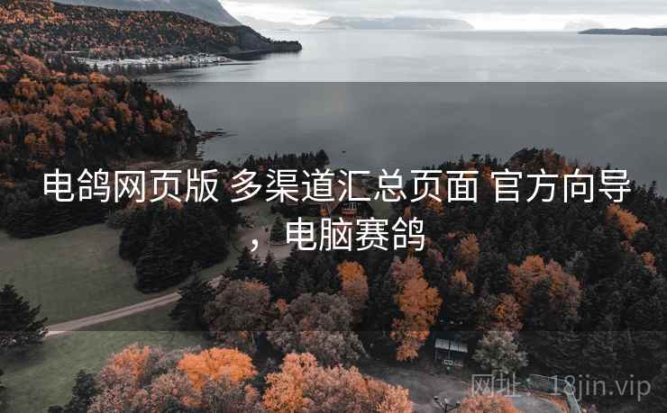 电鸽网页版 多渠道汇总页面 官方向导，电脑赛鸽