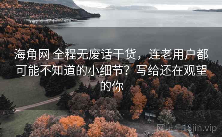 海角网 全程无废话干货，连老用户都可能不知道的小细节？写给还在观望的你