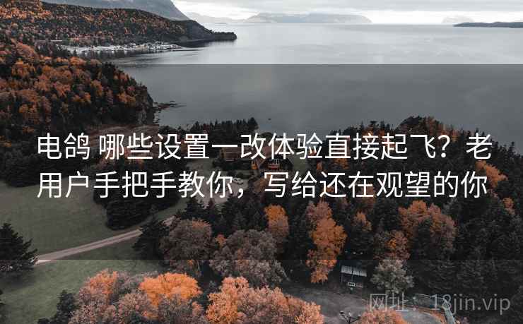 电鸽 哪些设置一改体验直接起飞？老用户手把手教你，写给还在观望的你