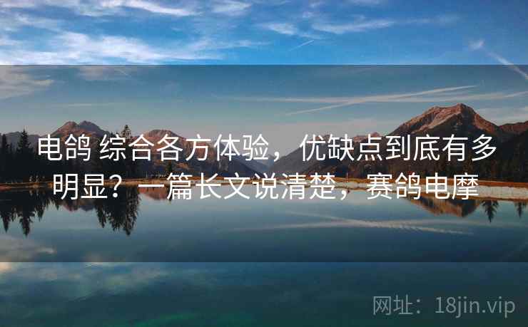 电鸽 综合各方体验，优缺点到底有多明显？一篇长文说清楚，赛鸽电摩
