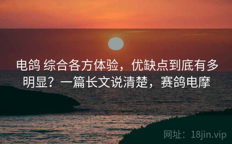 电鸽 综合各方体验，优缺点到底有多明显？一篇长文说清楚，赛鸽电摩