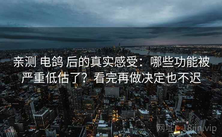亲测 电鸽 后的真实感受：哪些功能被严重低估了？看完再做决定也不迟