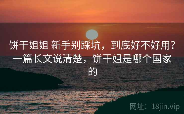 饼干姐姐 新手别踩坑，到底好不好用？一篇长文说清楚，饼干姐是哪个国家的