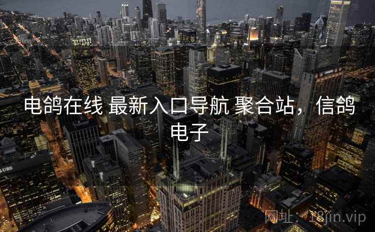 电鸽在线 最新入口导航 聚合站，信鸽电子