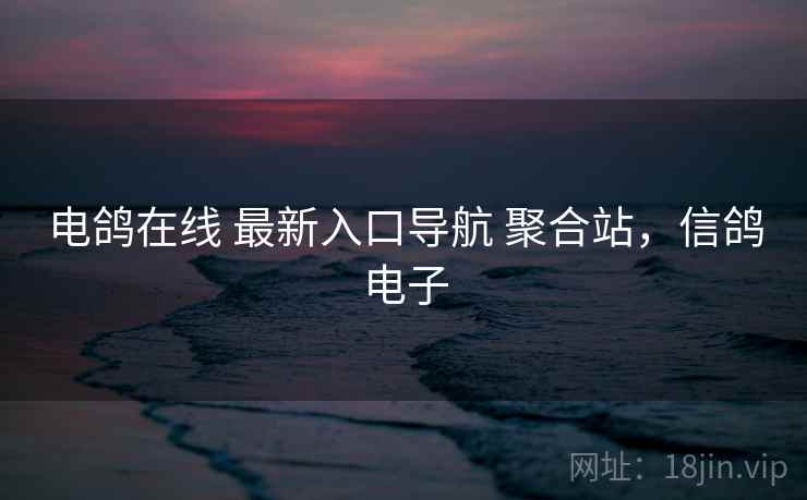 电鸽在线 最新入口导航 聚合站，信鸽电子