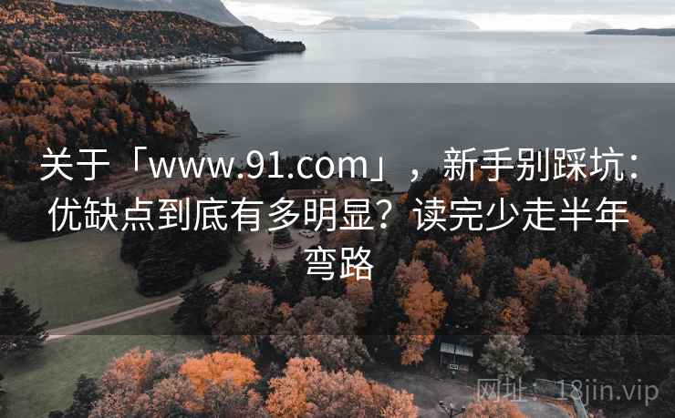 关于「www.91.com」，新手别踩坑：优缺点到底有多明显？读完少走半年弯路