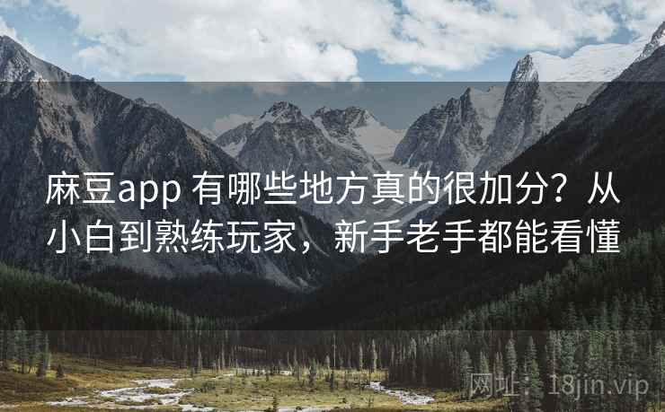 麻豆app 有哪些地方真的很加分？从小白到熟练玩家，新手老手都能看懂