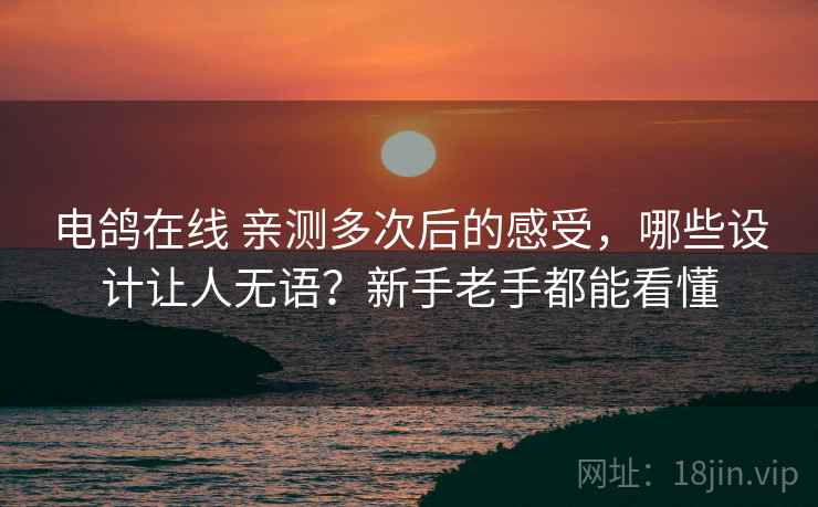 电鸽在线 亲测多次后的感受，哪些设计让人无语？新手老手都能看懂