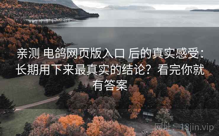 亲测 电鸽网页版入口 后的真实感受：长期用下来最真实的结论？看完你就有答案