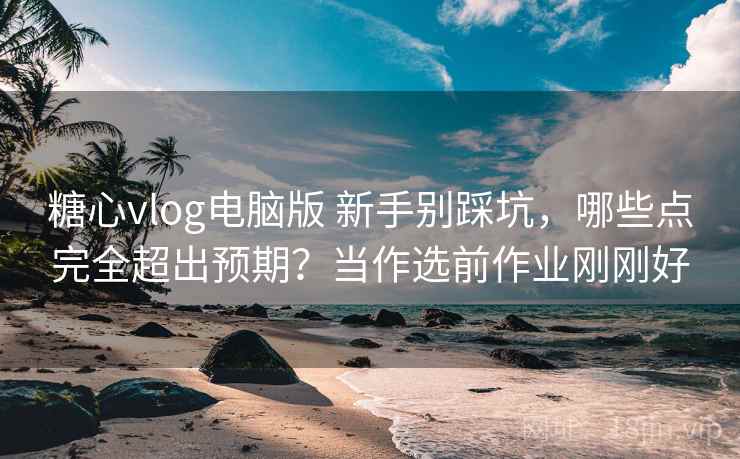 糖心vlog电脑版 新手别踩坑，哪些点完全超出预期？当作选前作业刚刚好