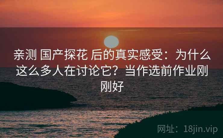 亲测 国产探花 后的真实感受：为什么这么多人在讨论它？当作选前作业刚刚好